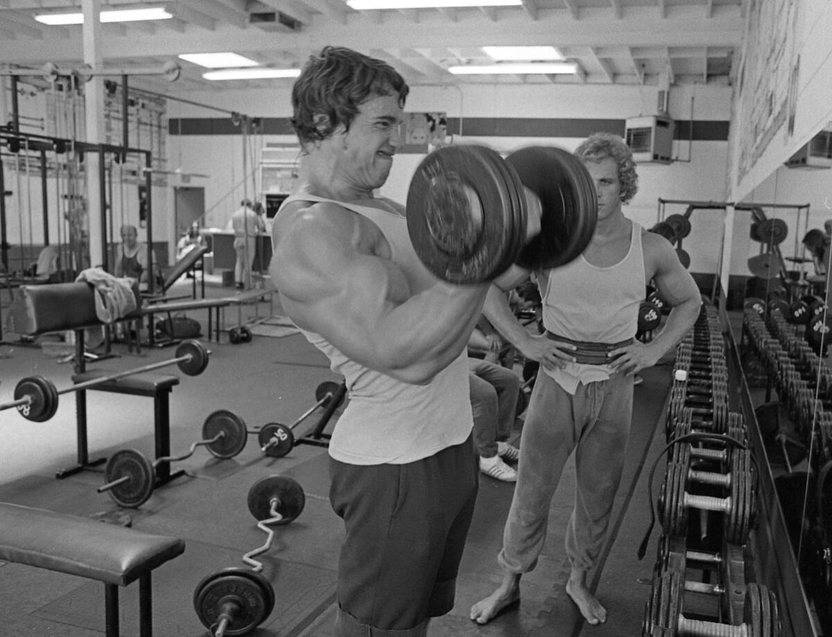 Arnold S Workout Guide 2024   Share 